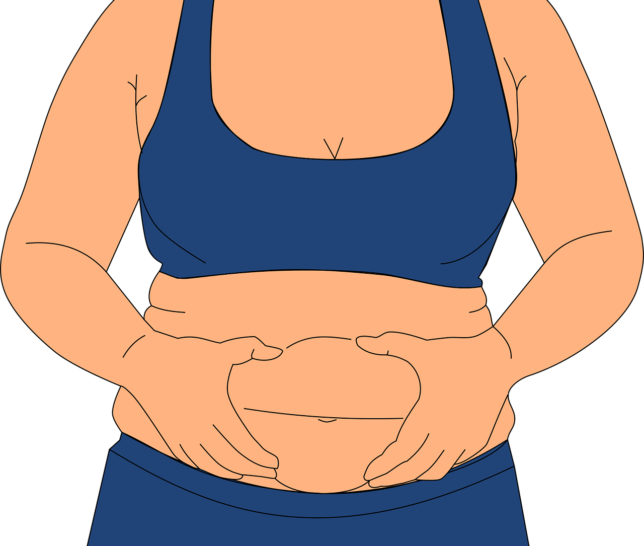 1280x1085 Free Abdominal Fat & Obesity Image