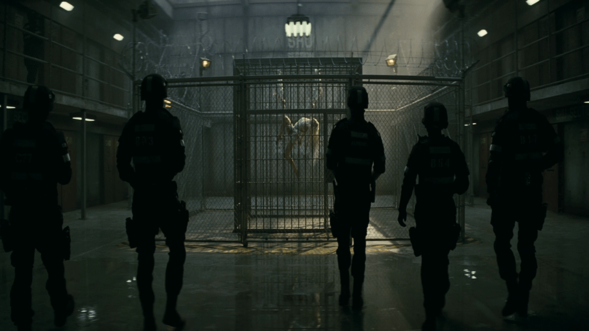 1920x1080 Suicide Squad Movie Wallpaper HD Download for iPhones