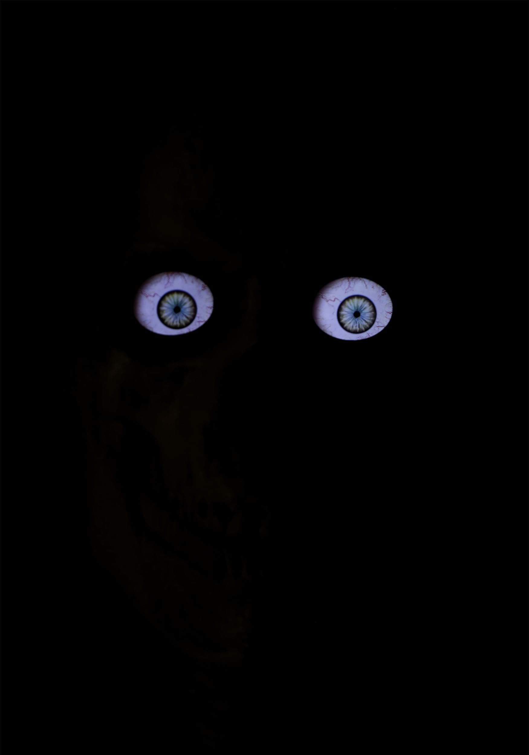 1750x2500 Giant Skeleton Decoration