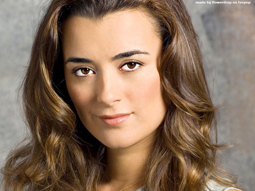 1024x768 Ncis, Cote de pablo, Ziva david