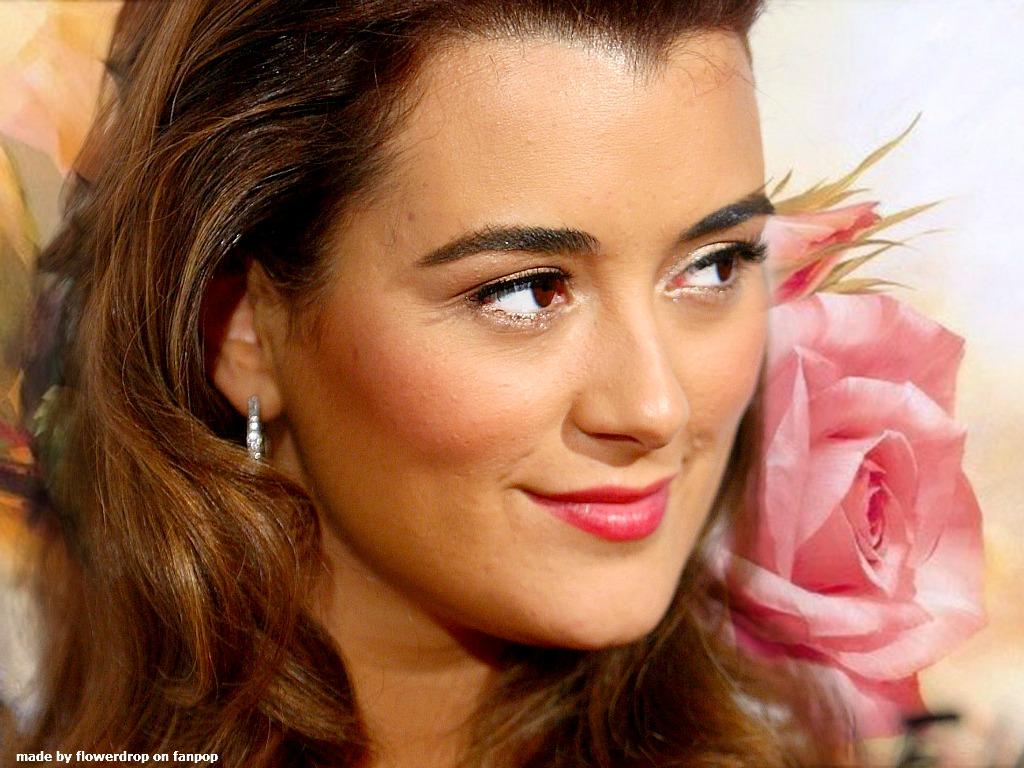 1024x768 Cote de Pablo Wallpaper de Pablo