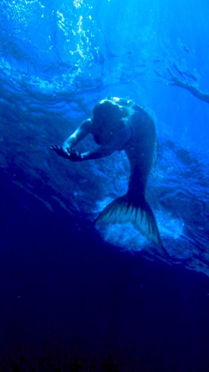 719x1280 H2O and Mako Mermaids