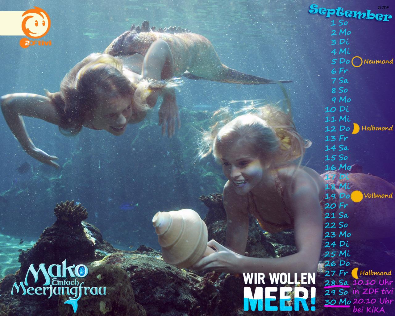 1280x1024 Mako Mermaids Wallpaper