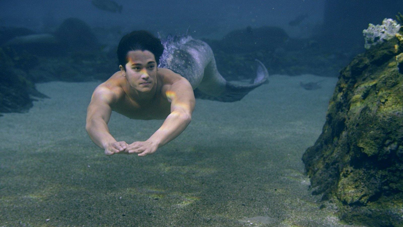 1600x900 Mako Mermaids