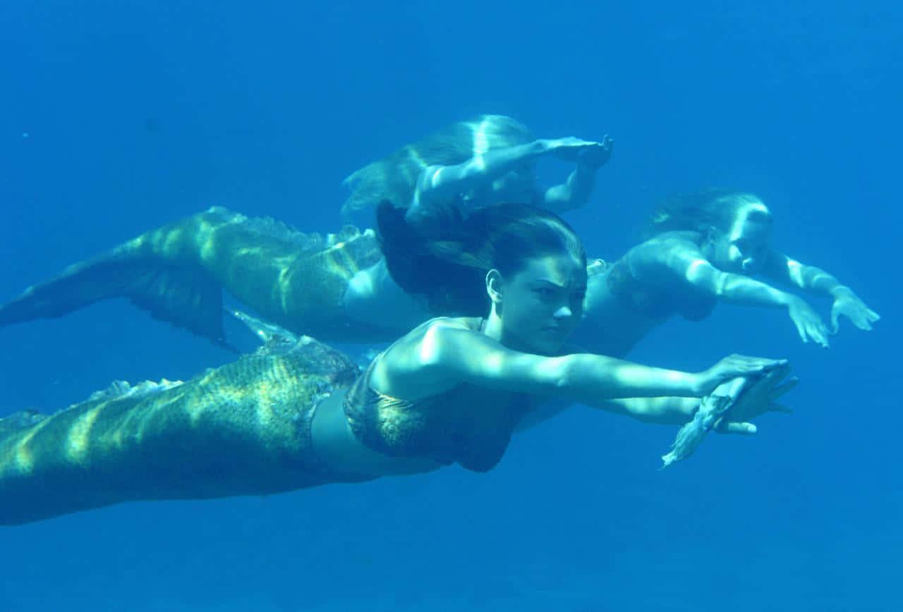 1280x868 real mermaid! Wallpaper. Wallpaper