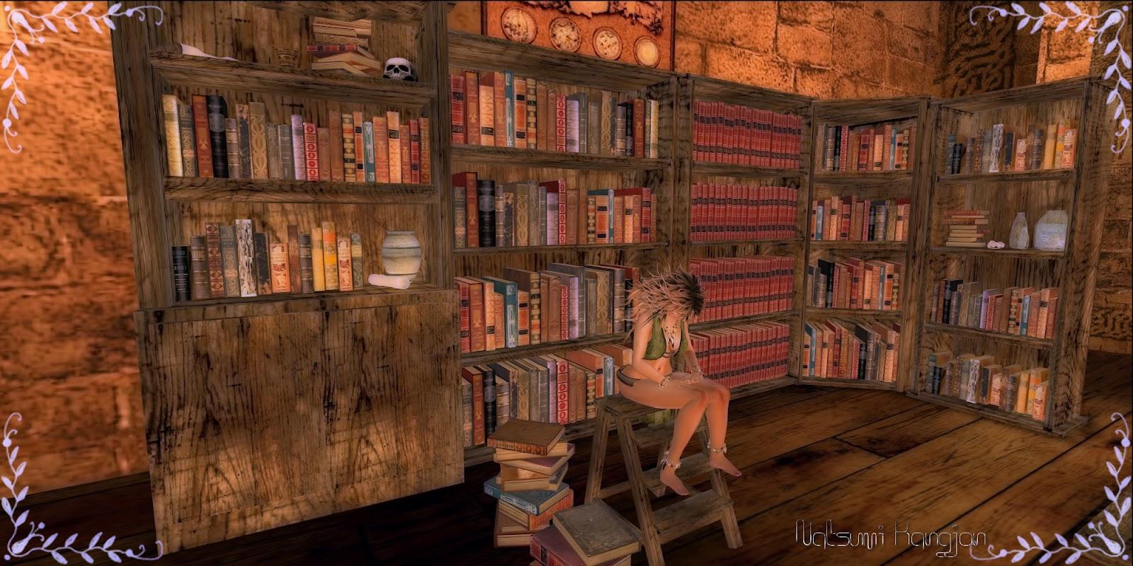 1600x800 Fantasy Library Background 1600x800