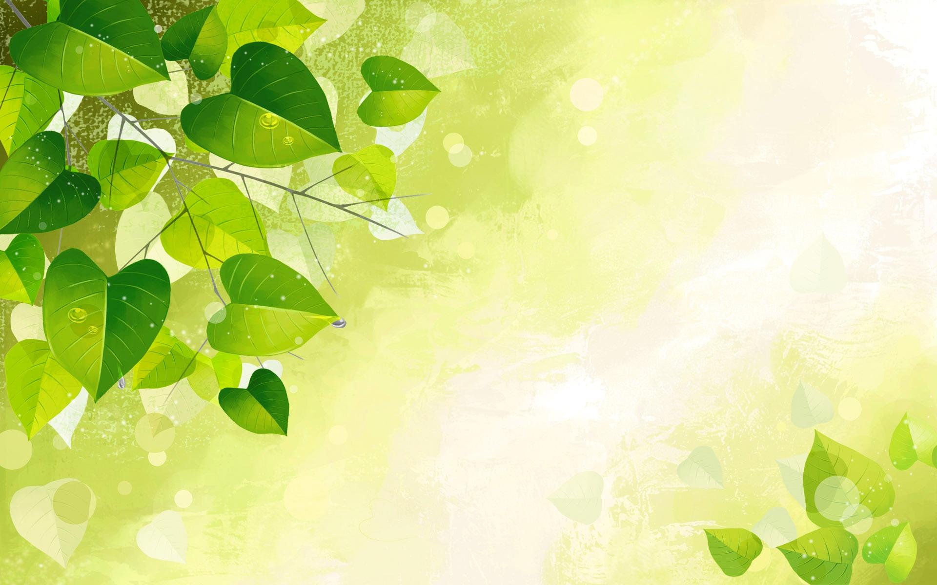 1920x1200 Wallpaper Green leaves, twigs, glare