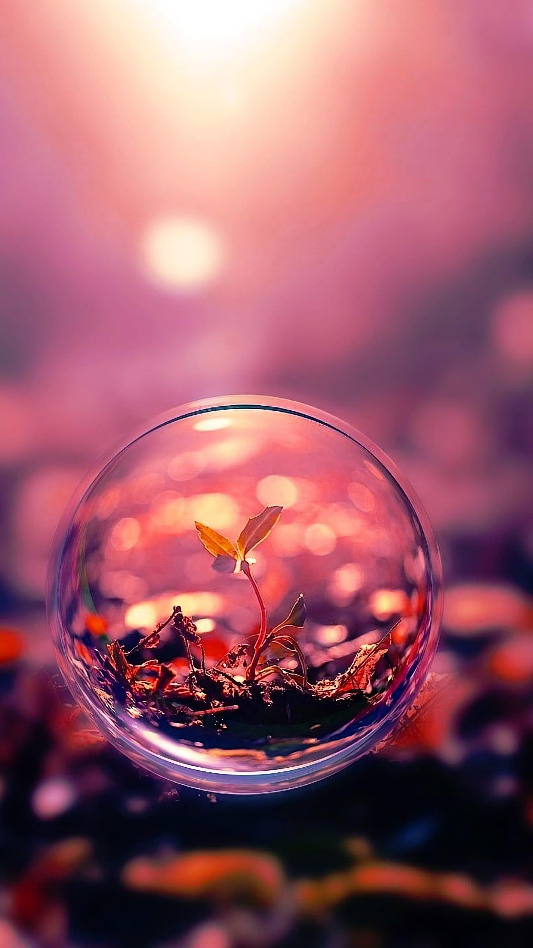 instagram-dp-wallpapers-top-free-instagram-dp-backgrounds