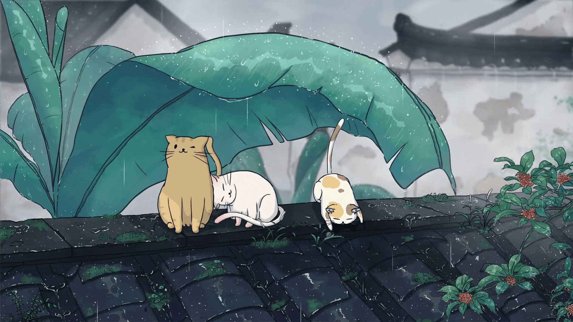 Lofi Cat Wallpapers - Top Free Lofi Cat Backgrounds - WallpaperAccess