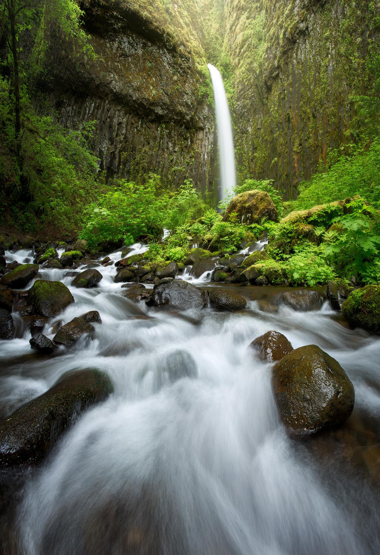 1315x1920 Moving Image of Flowing Water