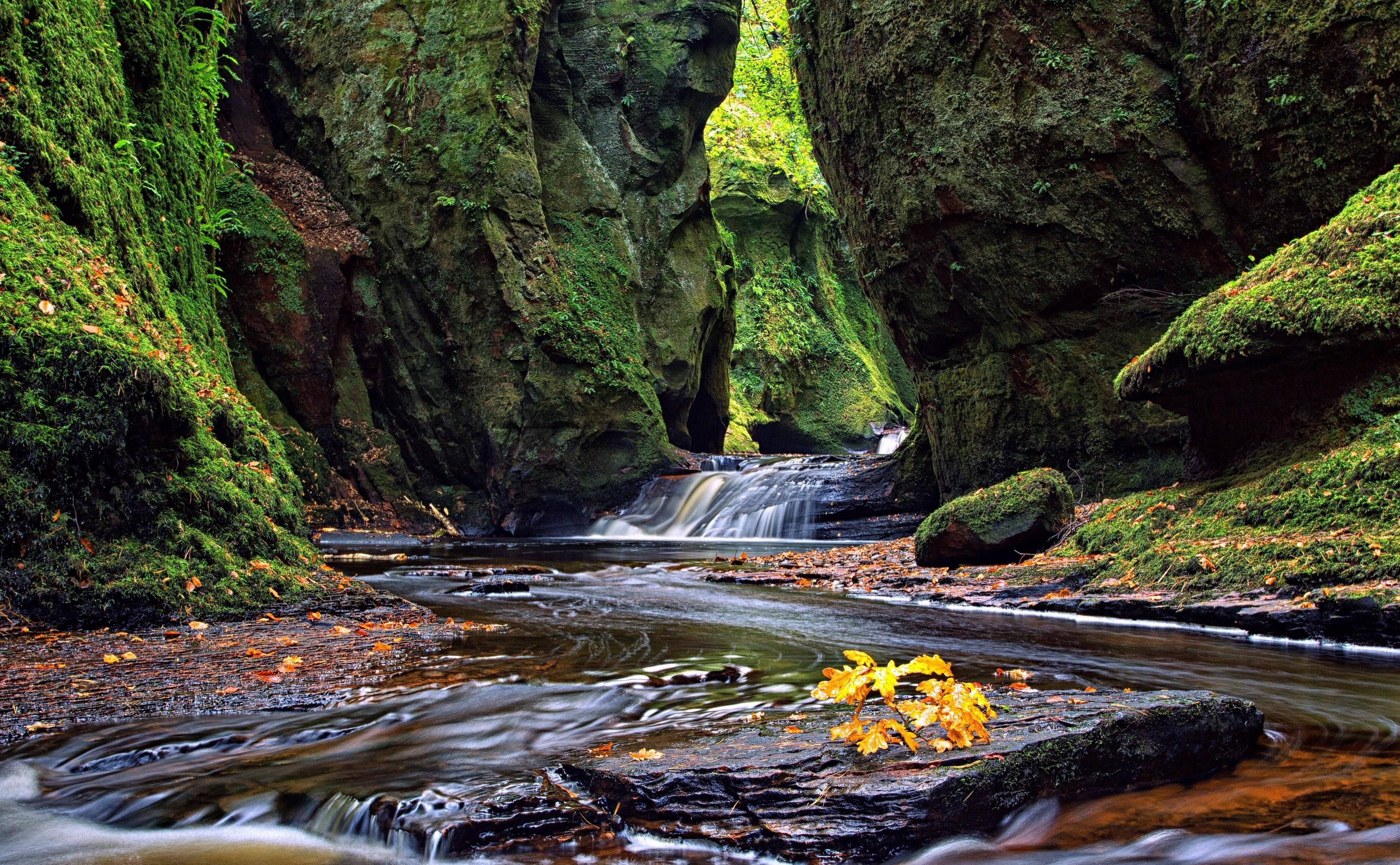 3840x2373 flowing water, plant, land, waterfall