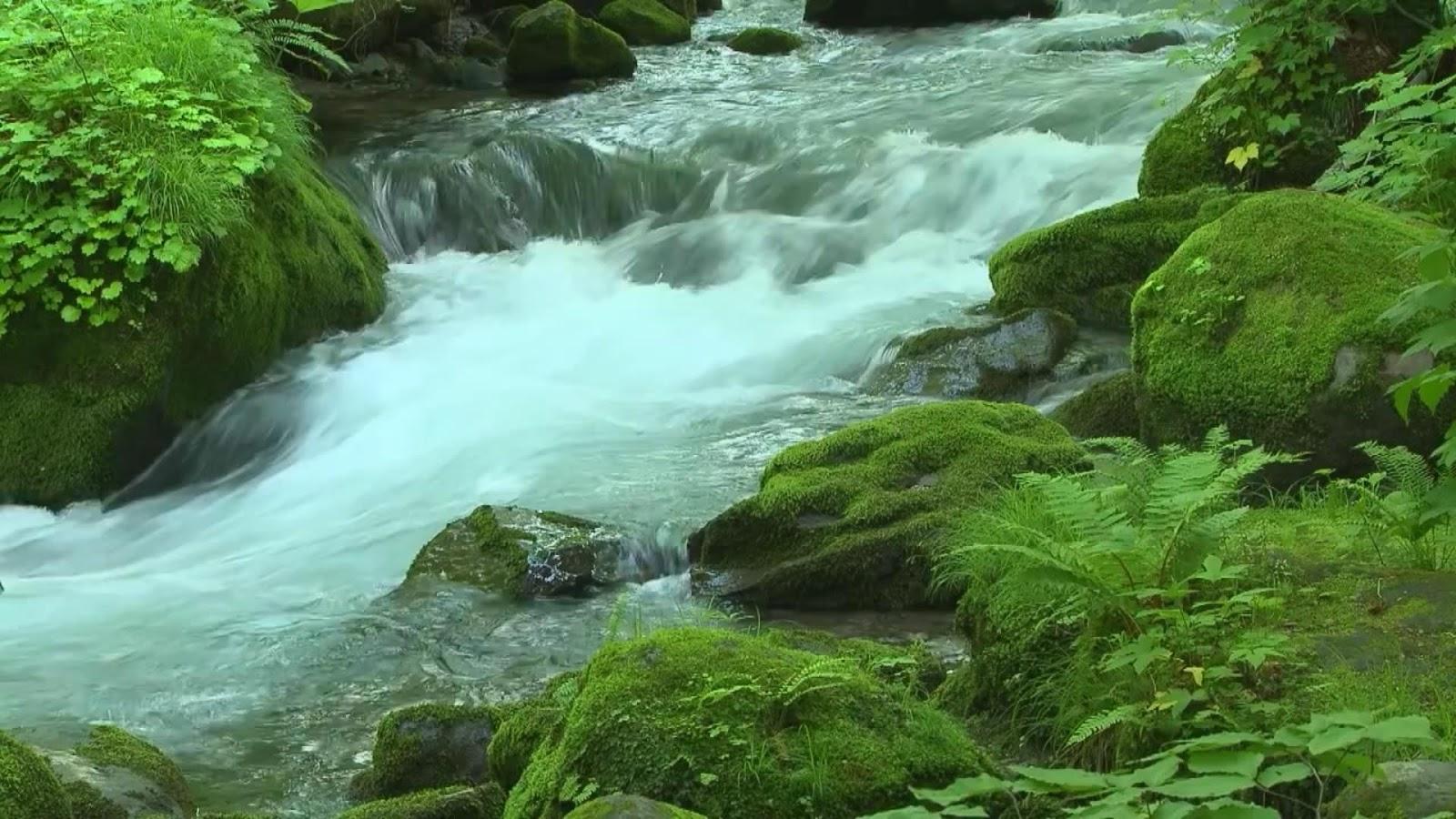 1600x900 River Water Wallpaper