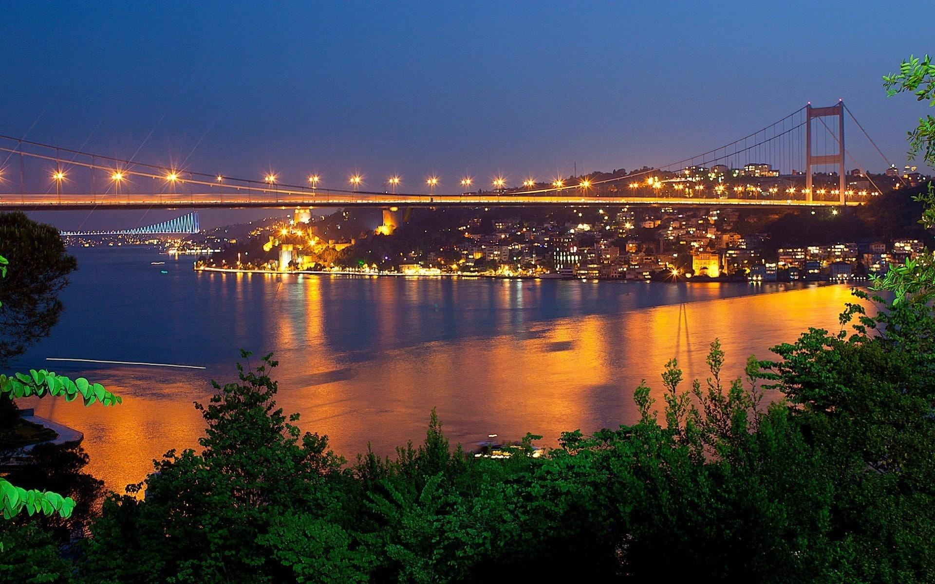 1920x1200 light, sea, bridge, tree, bridges
