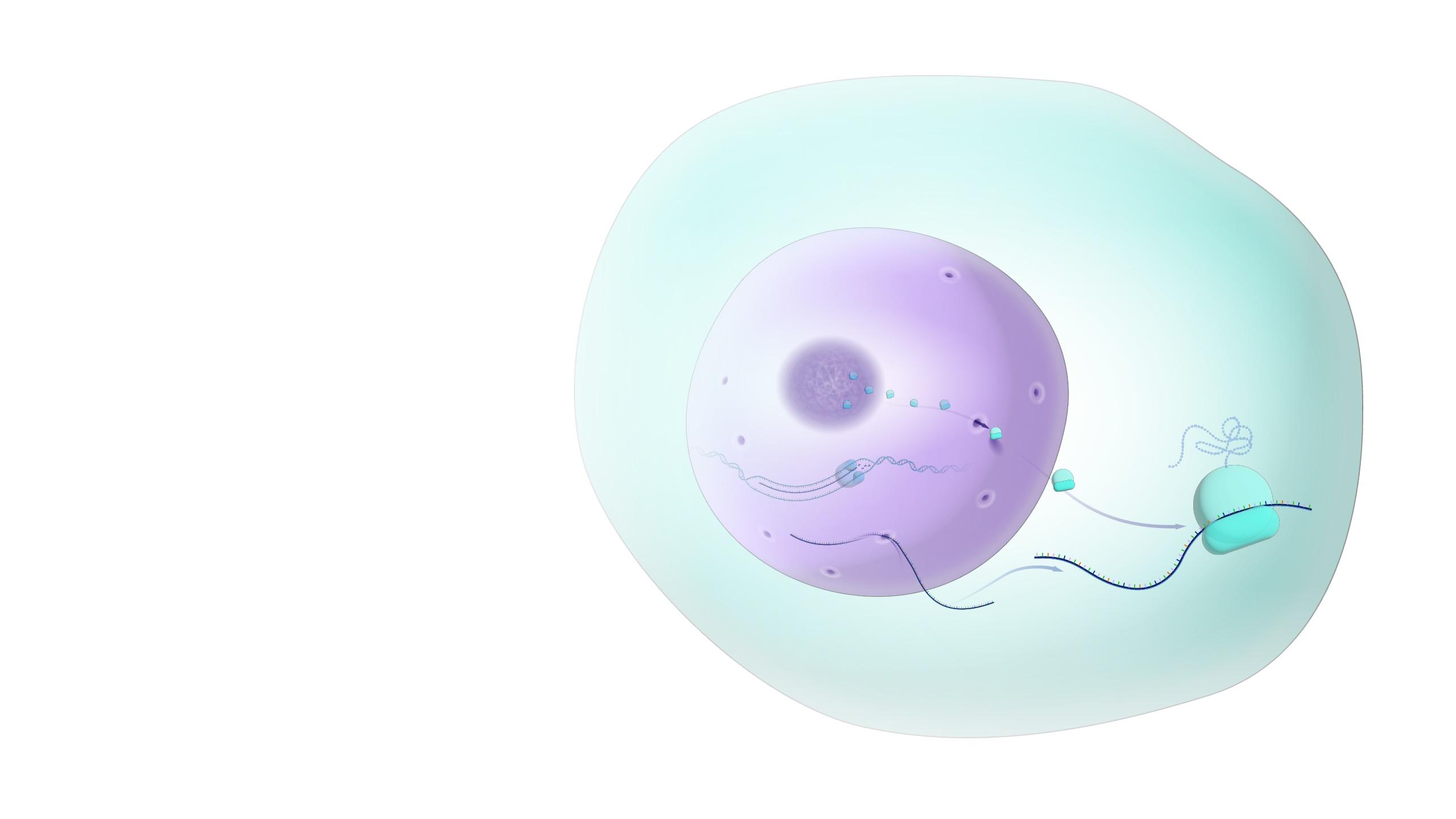 2560x1441 Nucleus