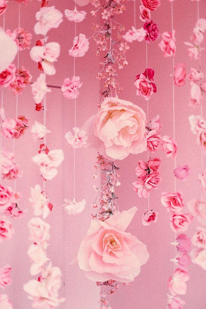 Aesthetic Pink Flower Wallpapers on WallpaperDog