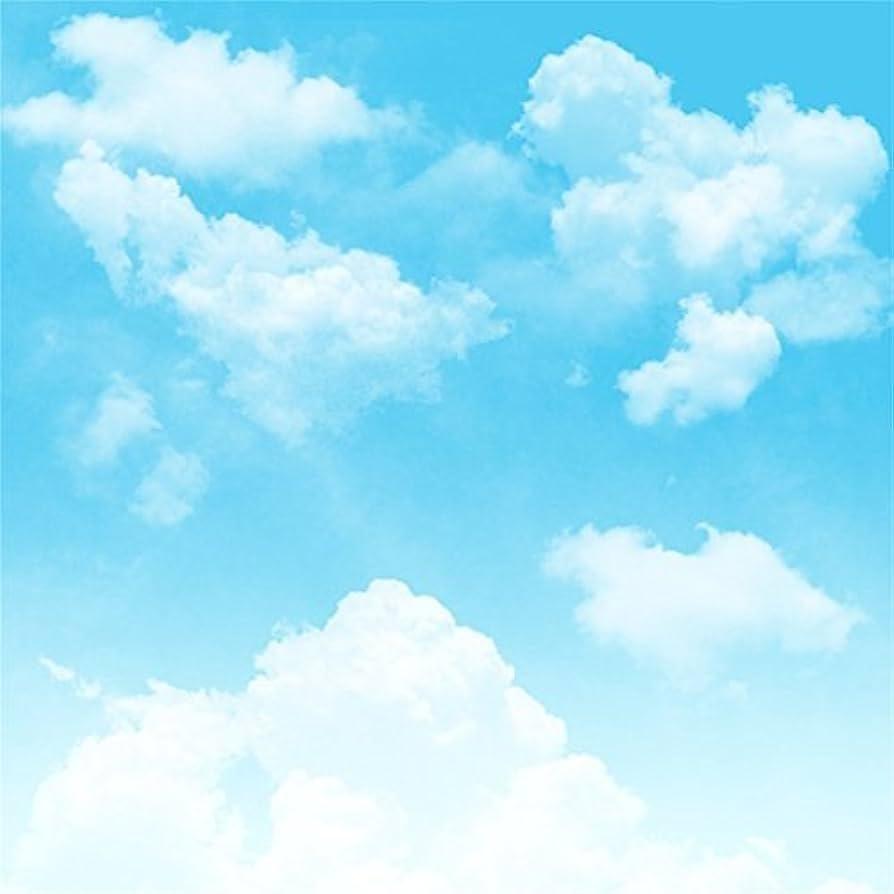 894x894 AOFOTO 5x5ft Blue Sky Backdrops