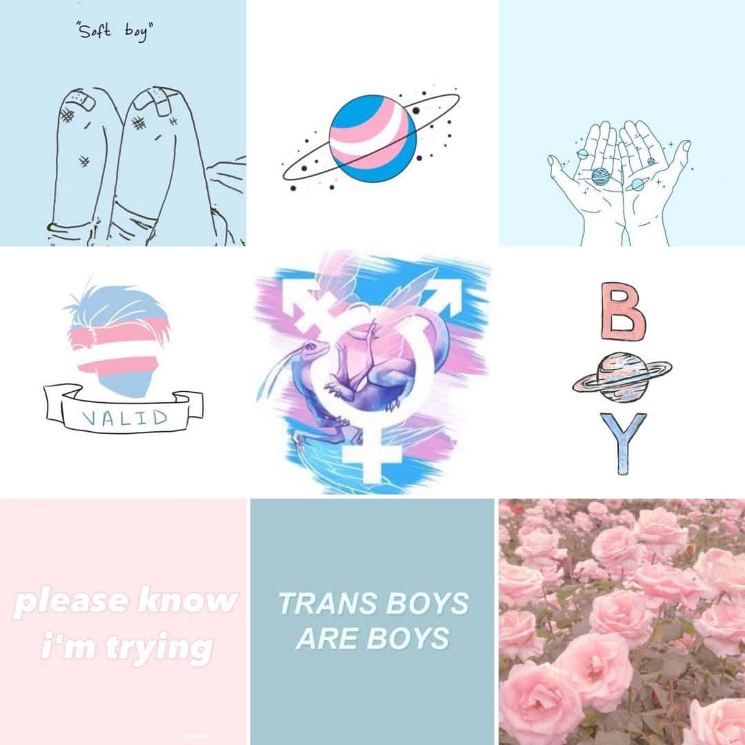 1080x1080 Download Blue And Pink Trans Aesthetic