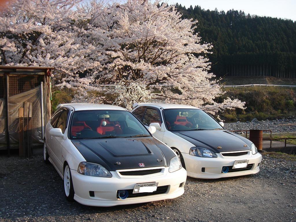 1024x768 Honda Civic EG Hatch Wallpaper