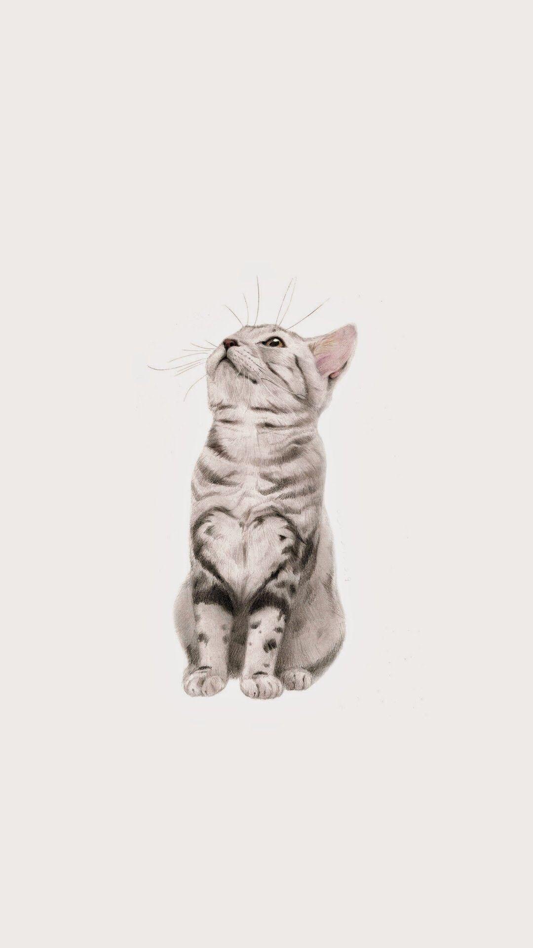 Cartoon Cat iPhone Wallpapers - Top Free Cartoon Cat iPhone Backgrounds