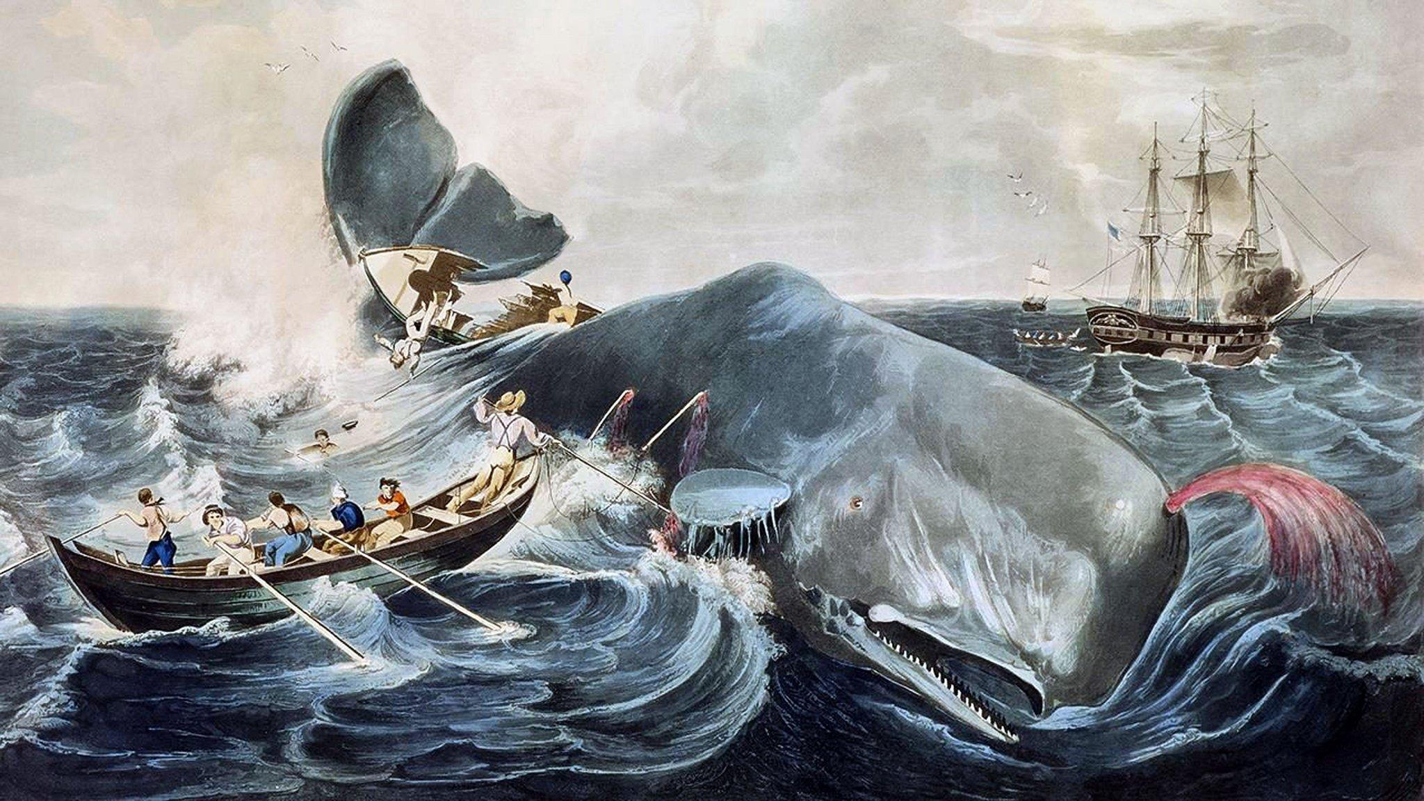 2048x1152 Melville's Whale Was a Warning We Failed to Heed