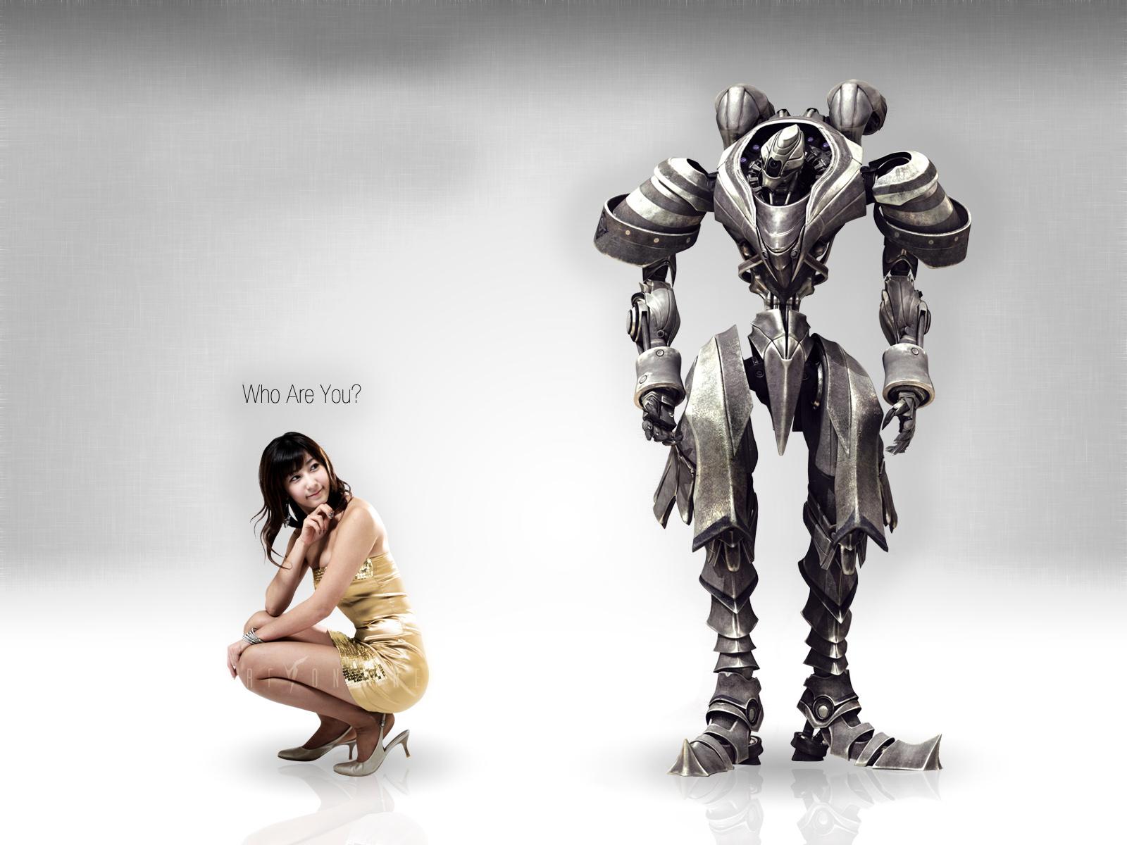 1600x1200 RF Online Wallpaper