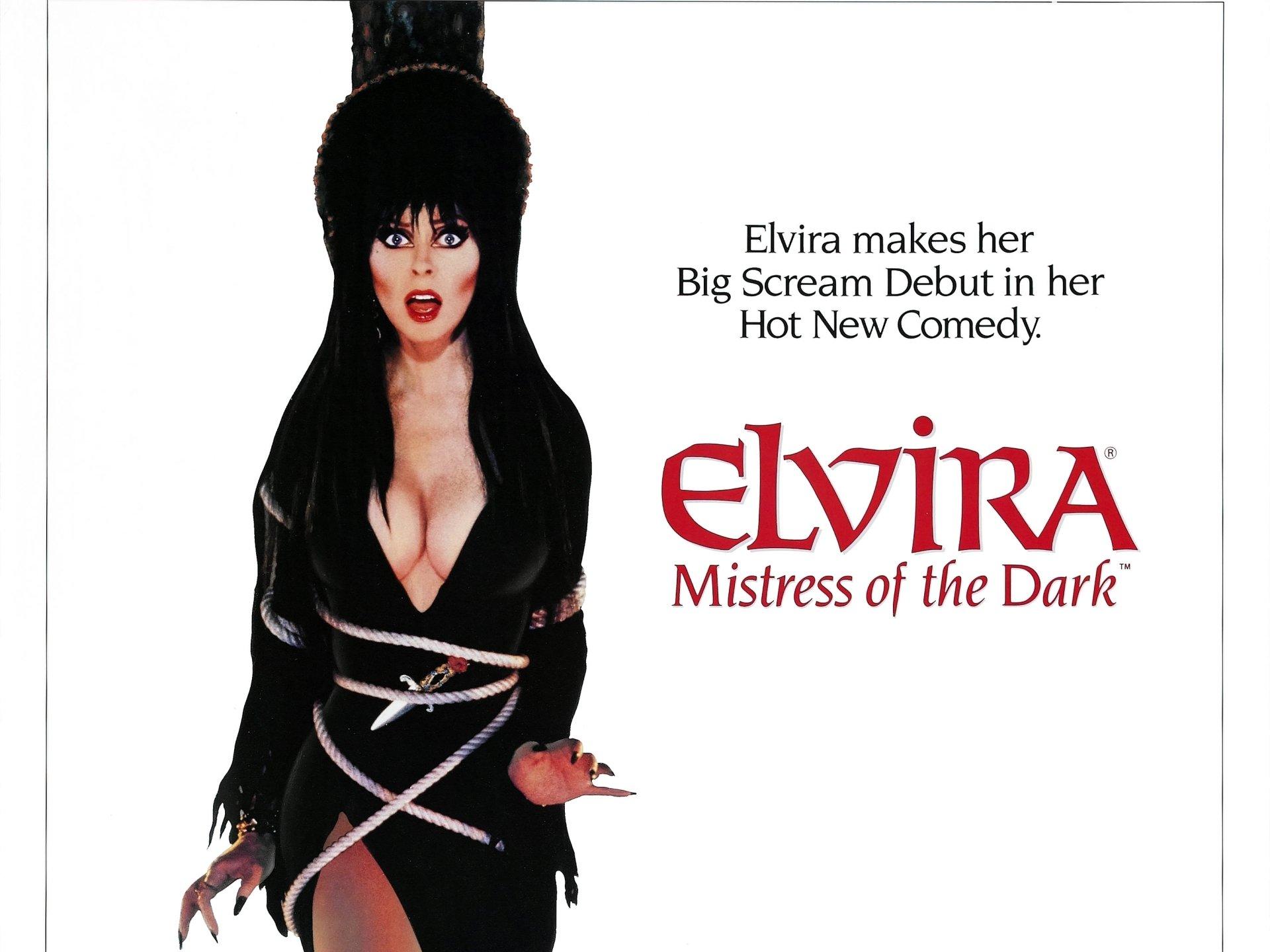 1920x1440 Elvira: Mistress Of The Dark HD Wallpaper und Hintergründe