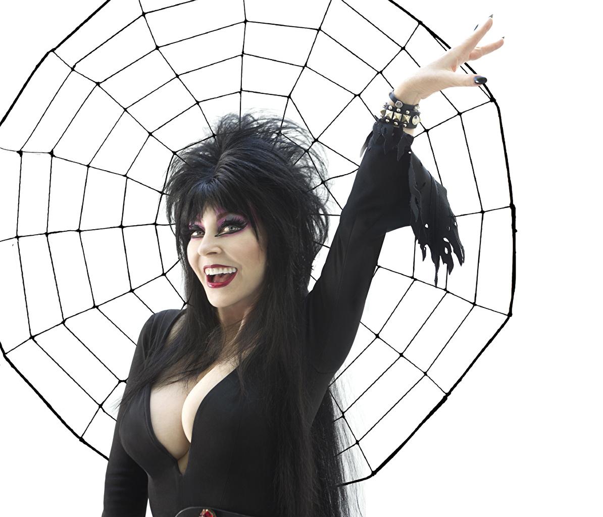 1194x1024 Free download Wallpaper Elvira Mistress of the Dark Breast Brunette [1194x1024] for your Desktop, Mobile & Tablet. Explore Elvira Mistress Of The Dark Wallpaper. The Dark Night Wallpaper, The