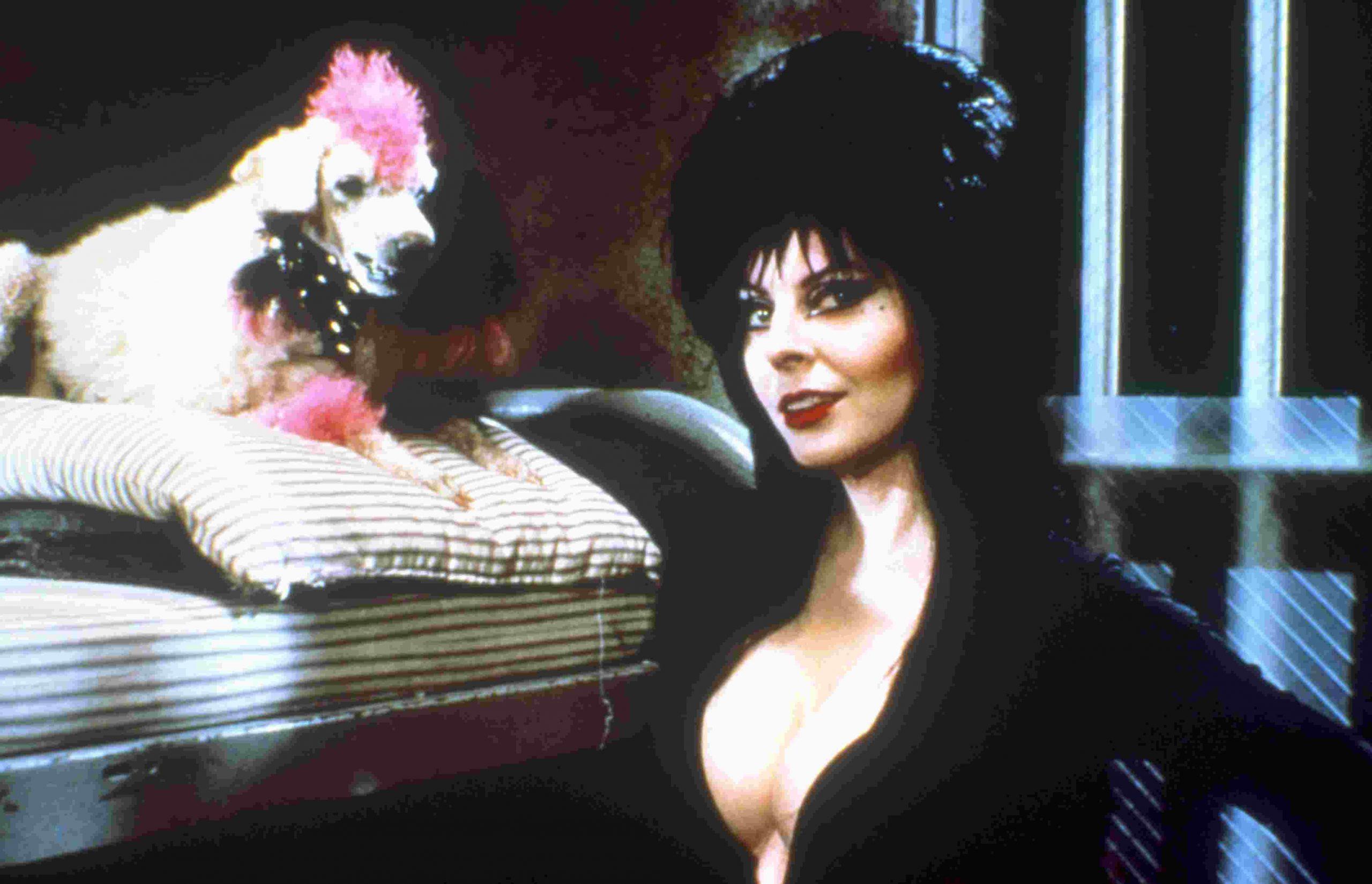 2560x1650 ELVIRA: MISTRESS OF THE DARK (1988) • Frame Rated