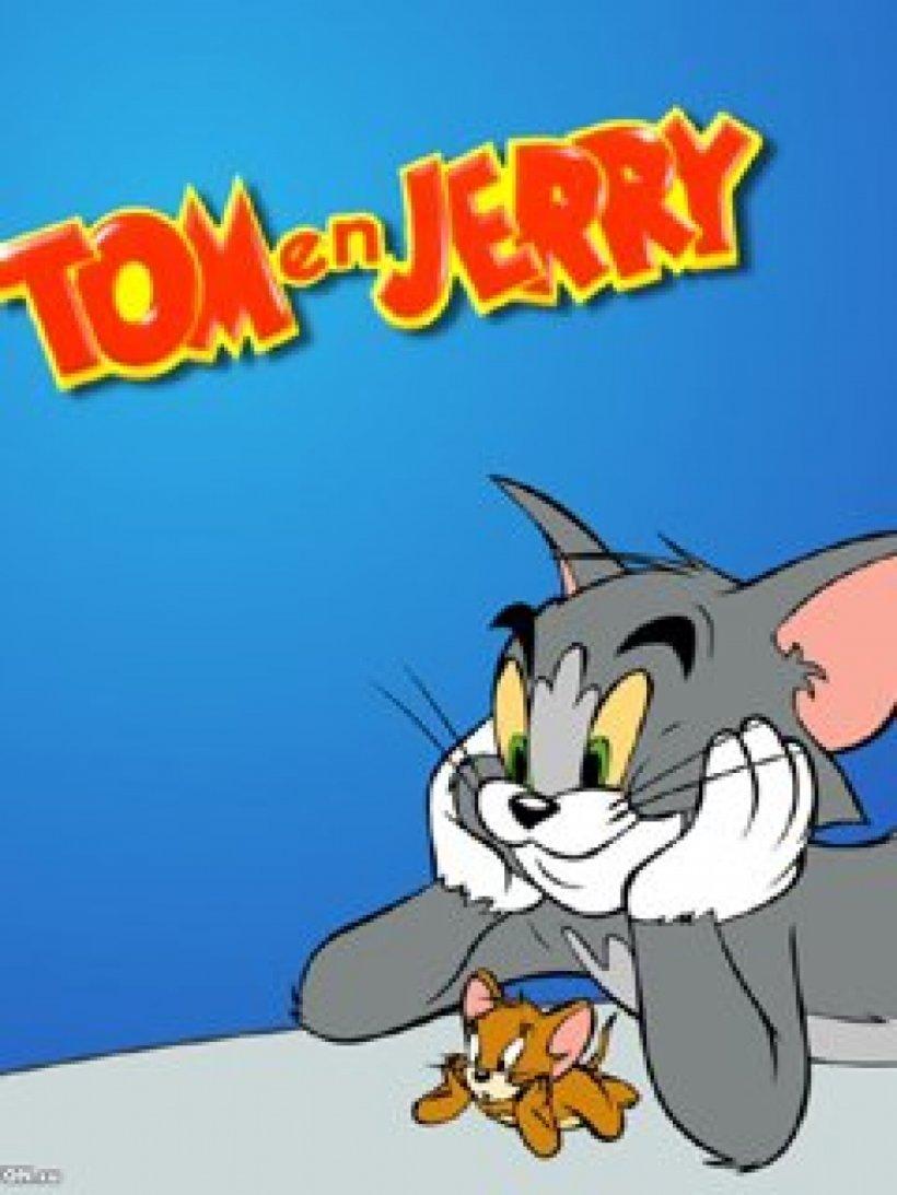 Tom Cat Wallpapers - Top Free Tom Cat Backgrounds - WallpaperAccess