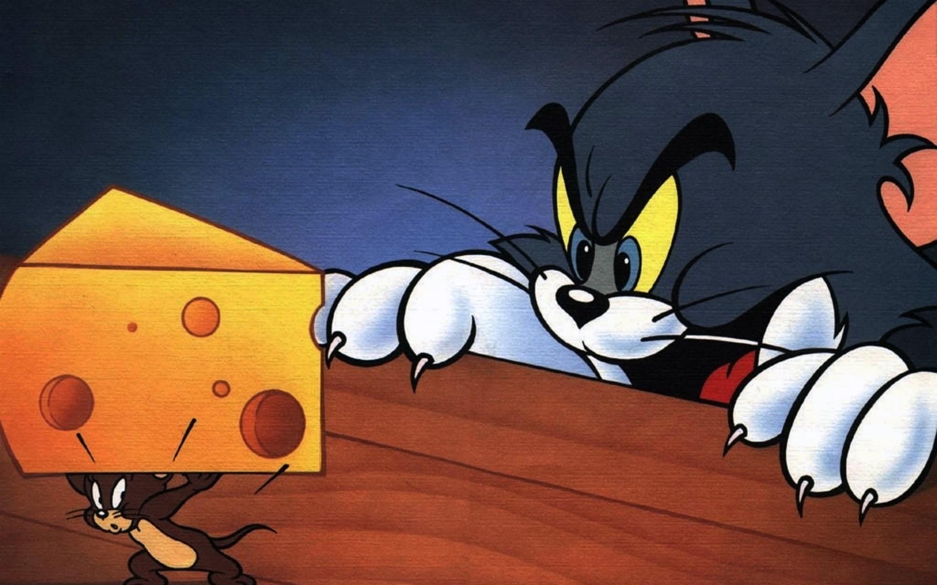 1920x1200 Wallpaper / mouse, mice, animation, 1080P, tom, family, jerry, cat, cheese, cartoon, comedy, 1tomjerry free download