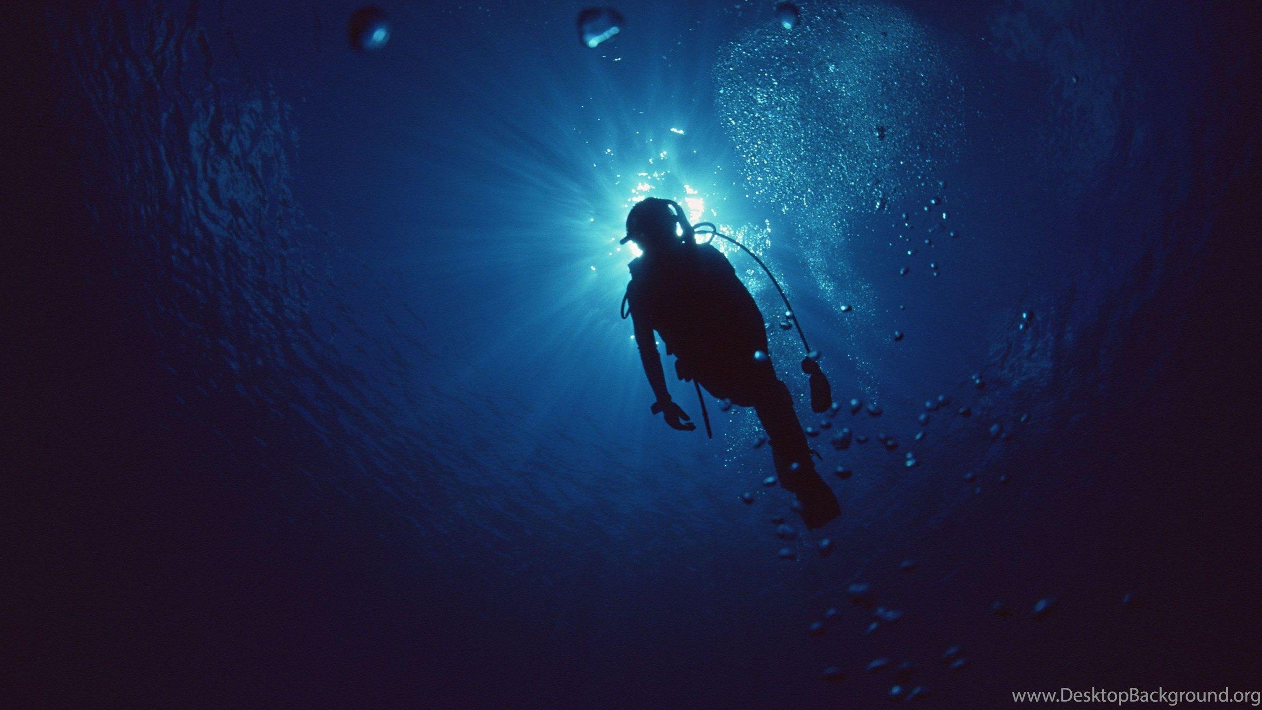 2560x1440 Scuba Diving Wallpaper Desktop Background