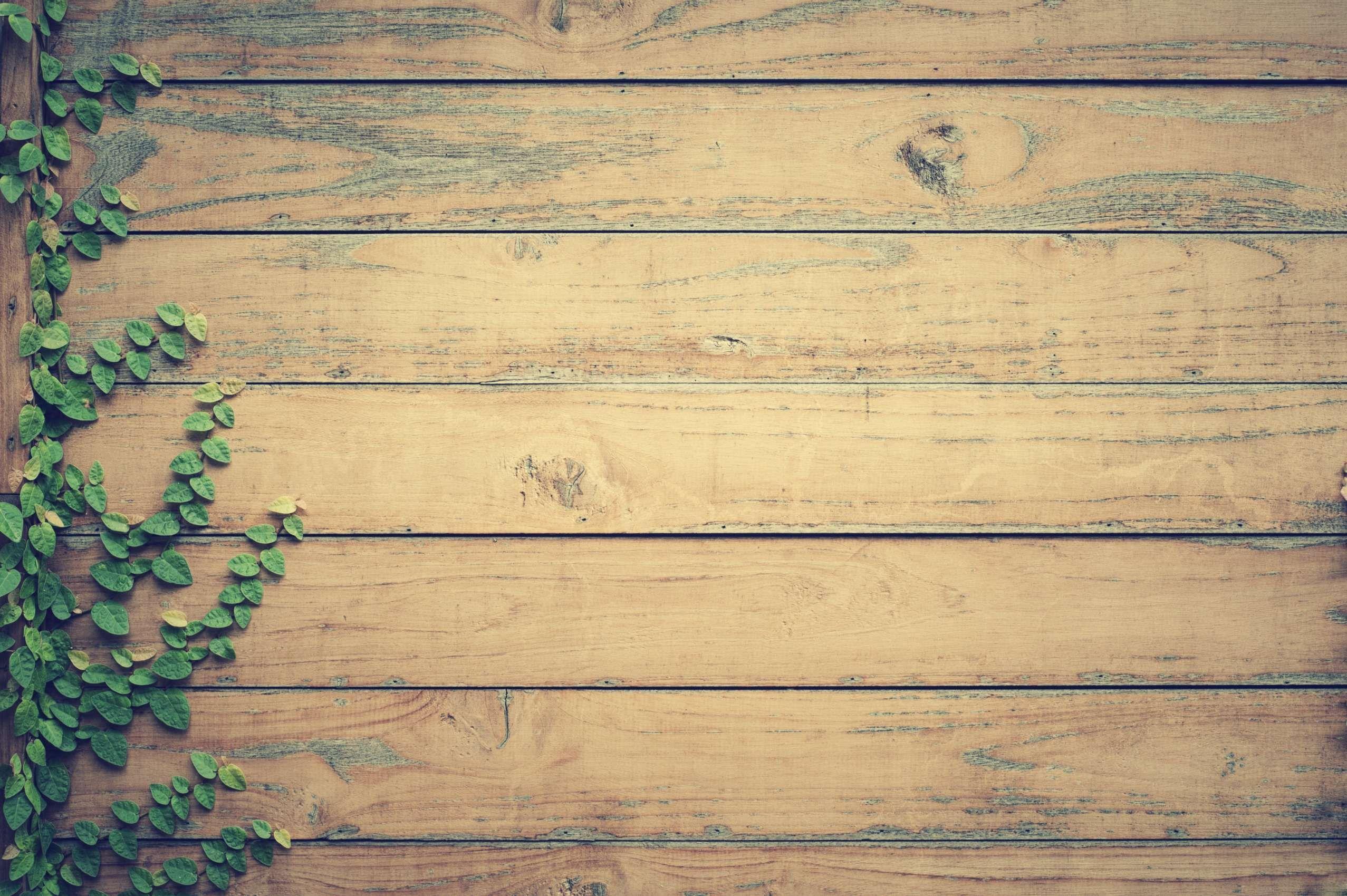 Dynamic Where Can I Get Free Pallets Scene in HD Dynamic Where Can I Get Free Pallets Scene in HD