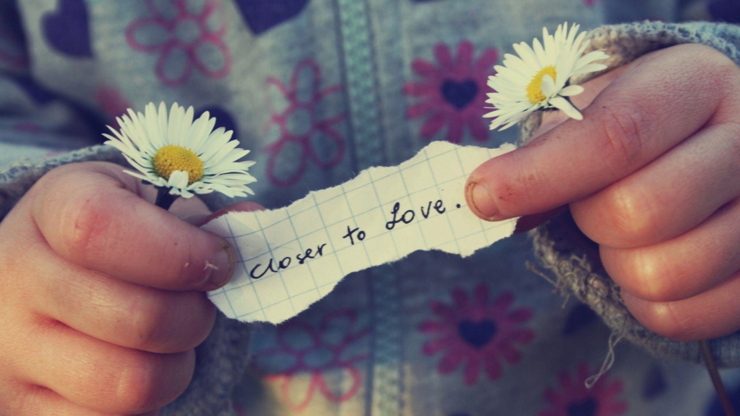 2560x1439 Flowers baby hands daisy wallpaper. PC