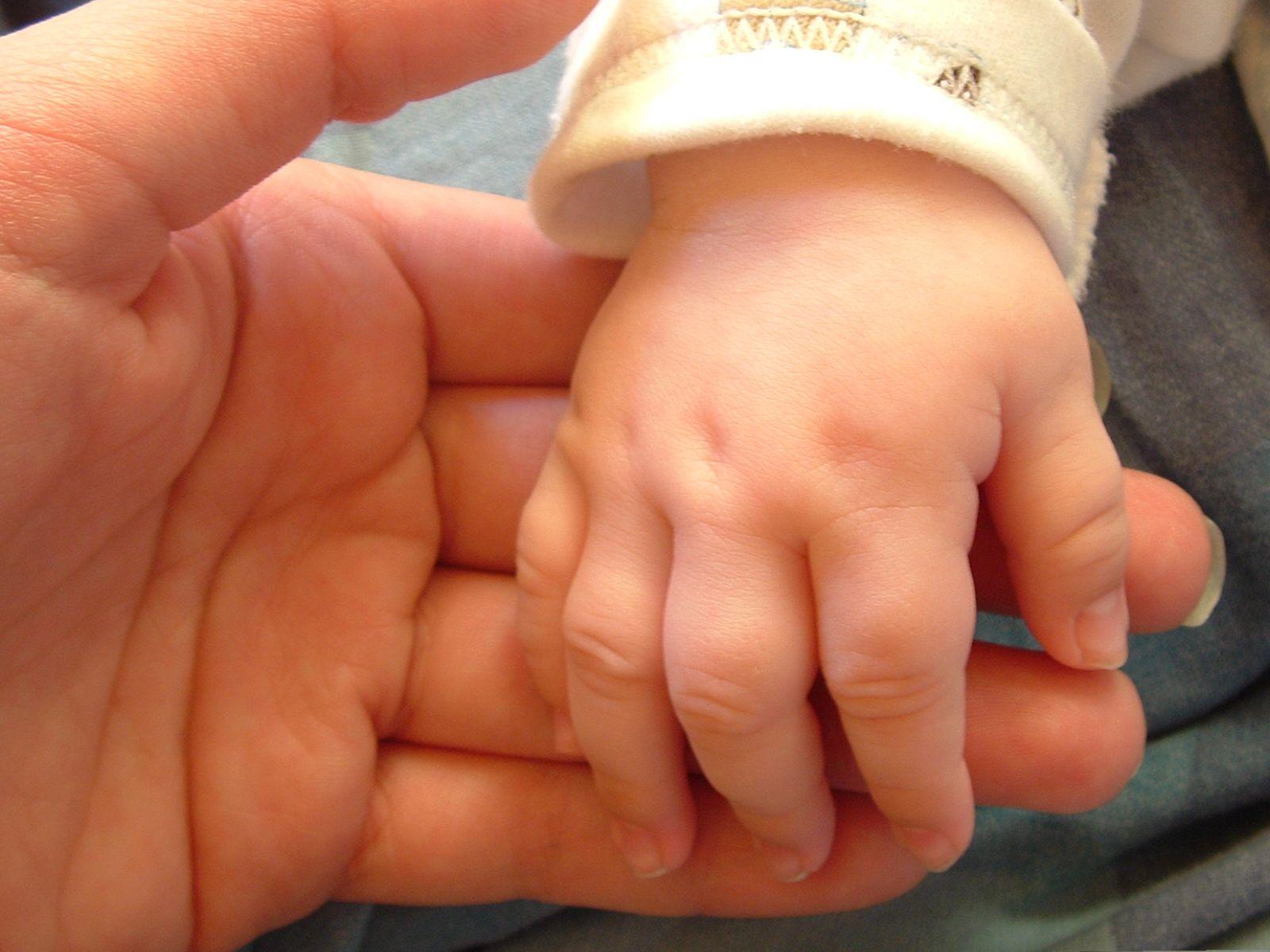 1600x1200 baby foot hand dad chiu one hundred days stone wallpaper and