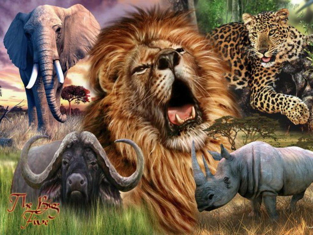 1024x768 Big Five Wallpaper