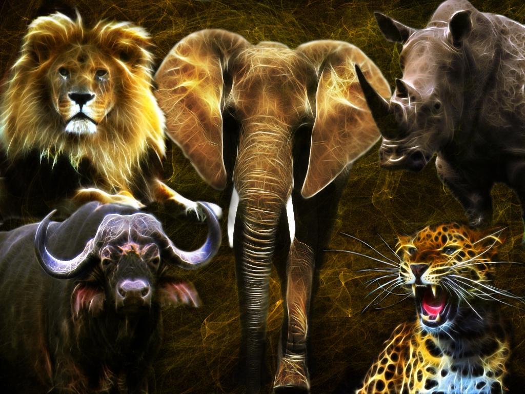 1024x768 Big Five Wallpaper
