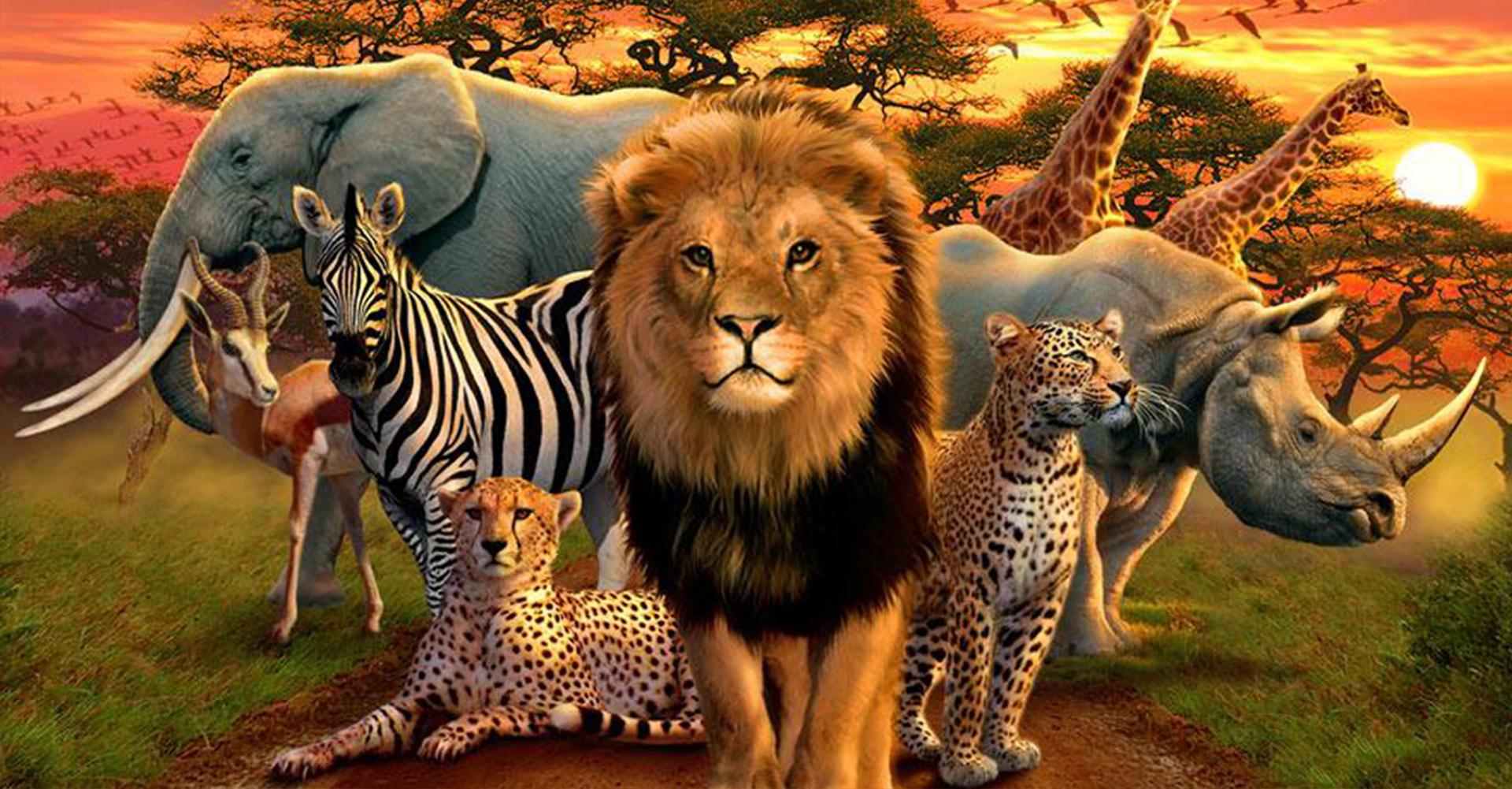 1920x1001 Big 5 Wallpaper