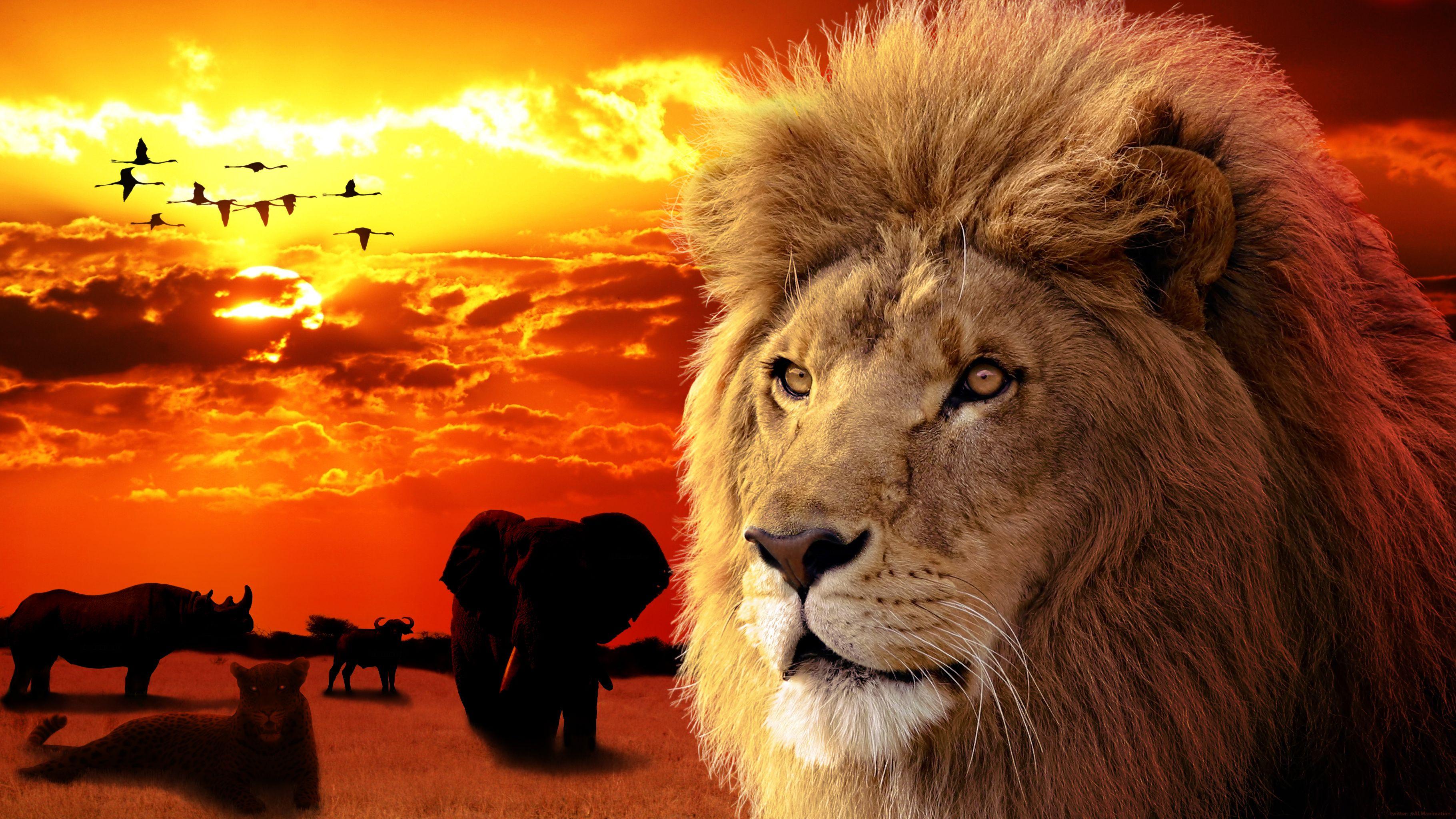 3641x2048 Big 5 Wallpaper