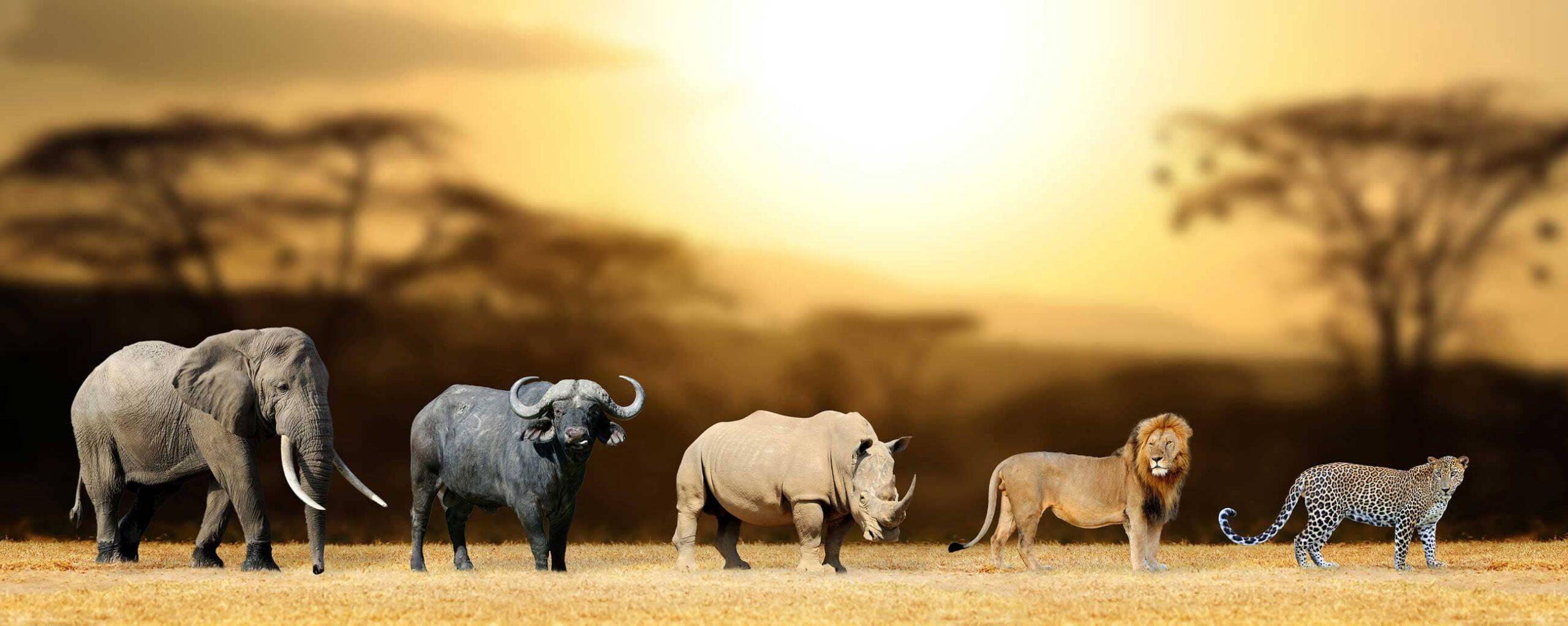 2560x1024 Die Big Five einer Werbeagentur