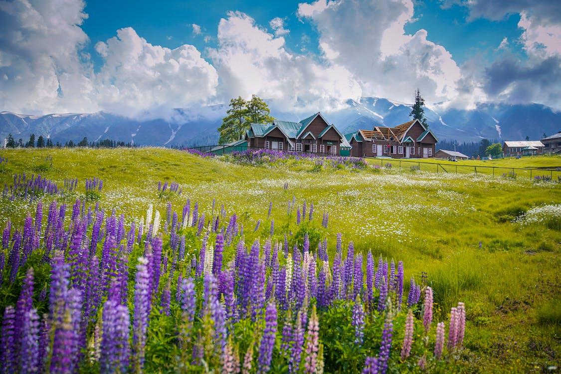1125x750 Experience Gulmarg