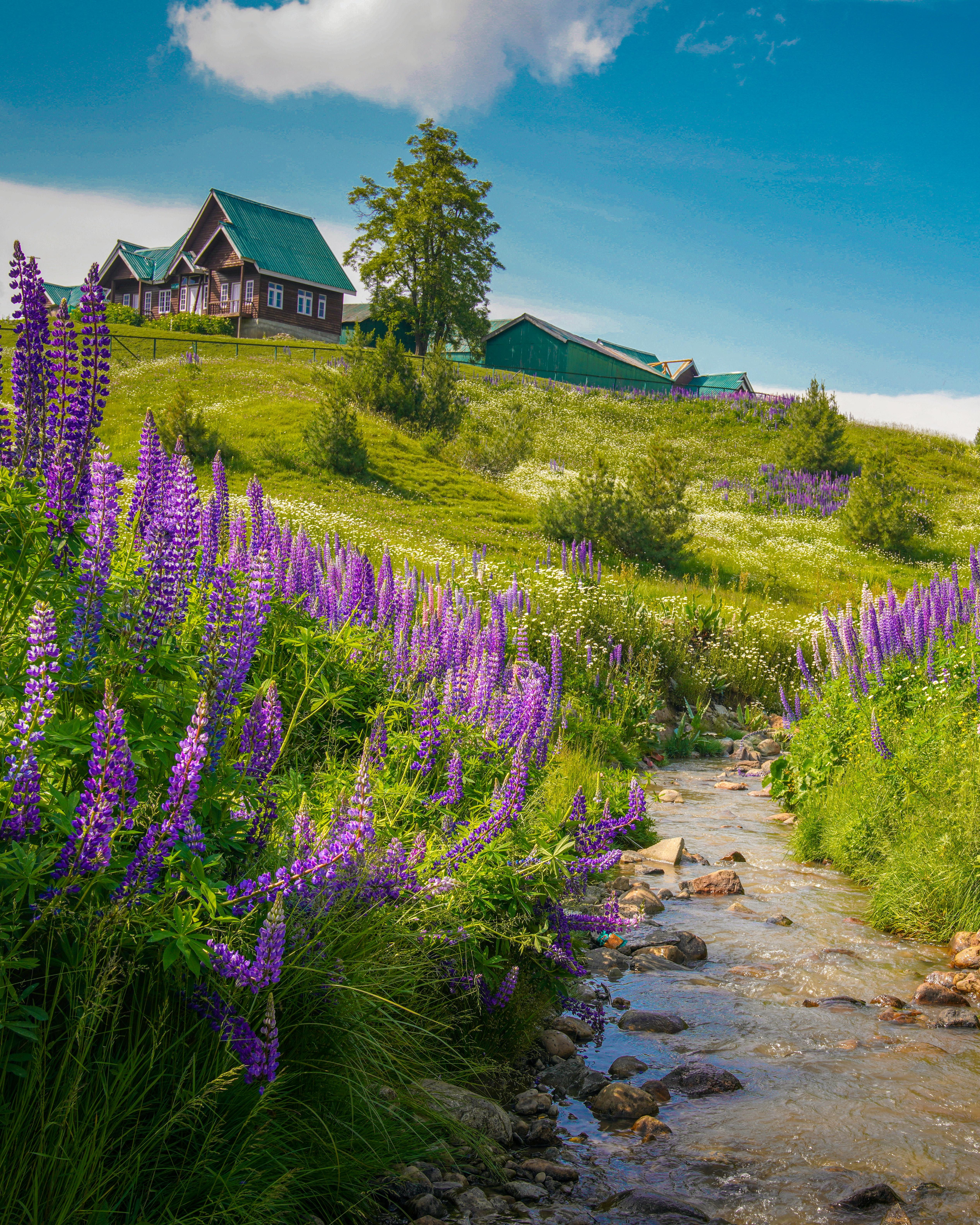 5069x6336 Gulmarg Photo, Download The BEST Free Gulmarg & HD Image