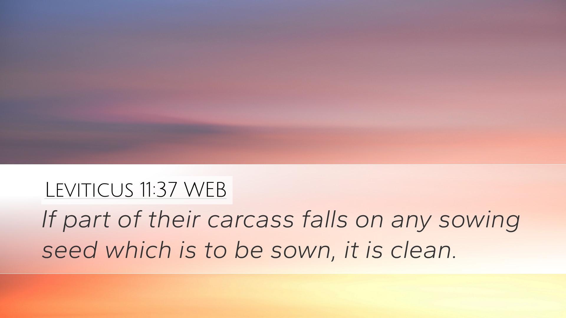 1920x1080 Leviticus 11:37 WEB Desktop Wallpaper part of their carcass falls on any sowing seed