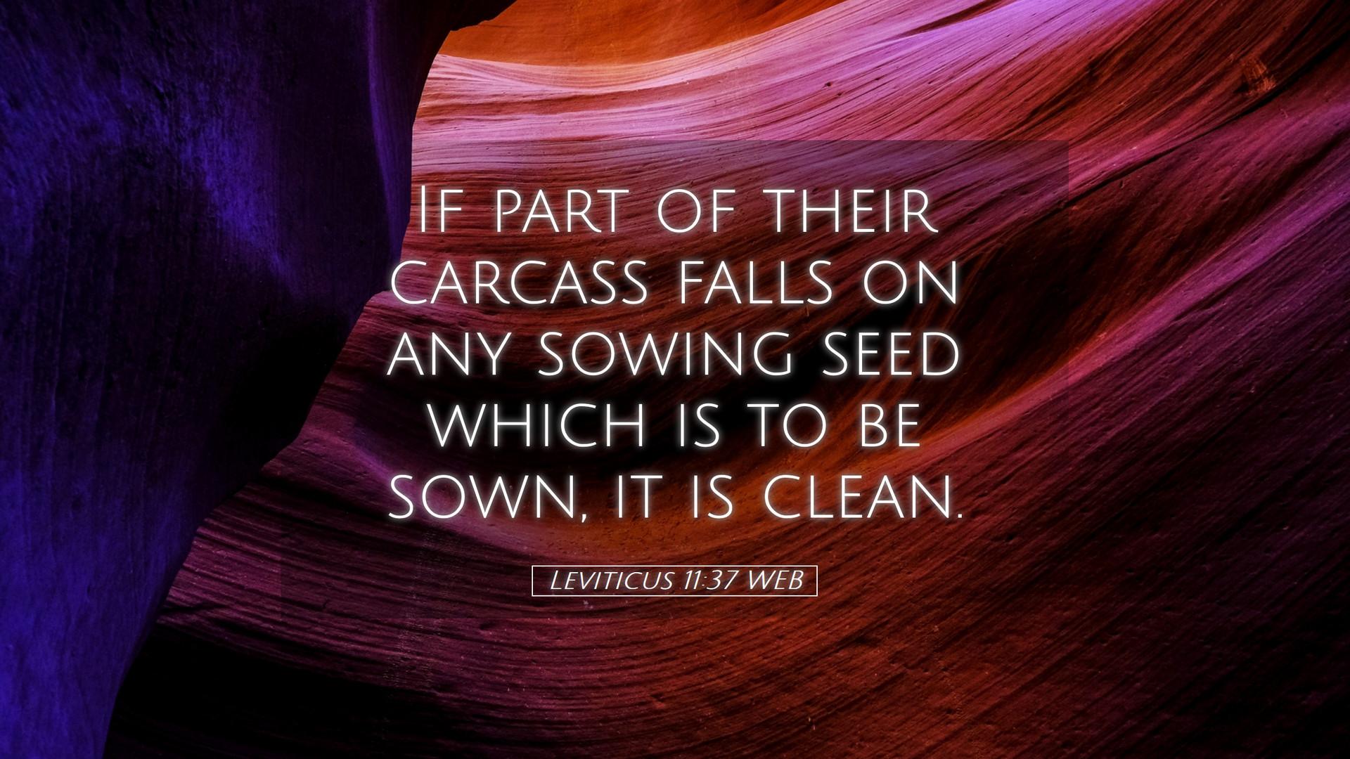1920x1080 Leviticus 11:37 WEB Desktop Wallpaper part of their carcass falls on any sowing seed