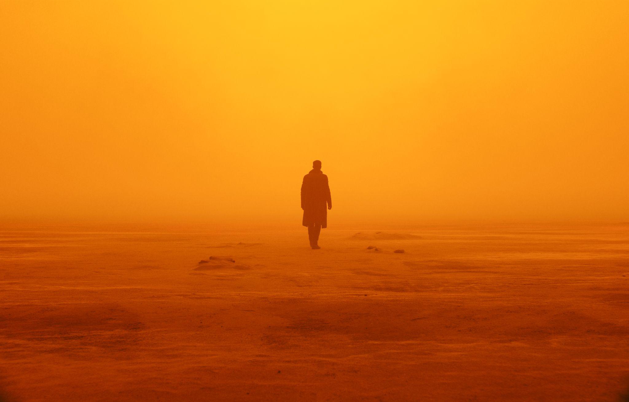 2048x1310 High Quality Wallpaper