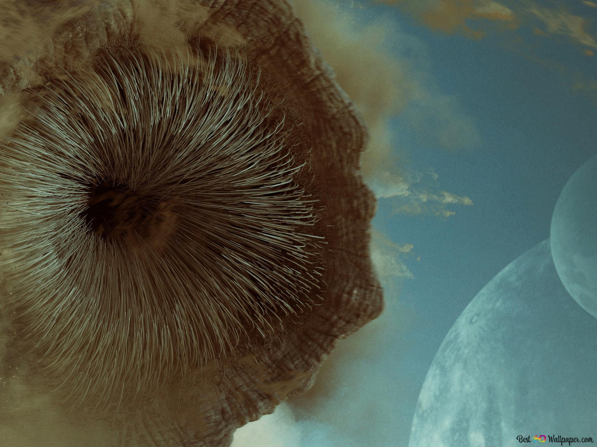 2048x1536 Dune 2021 sandworm Villeneuve 2K wallpaper download