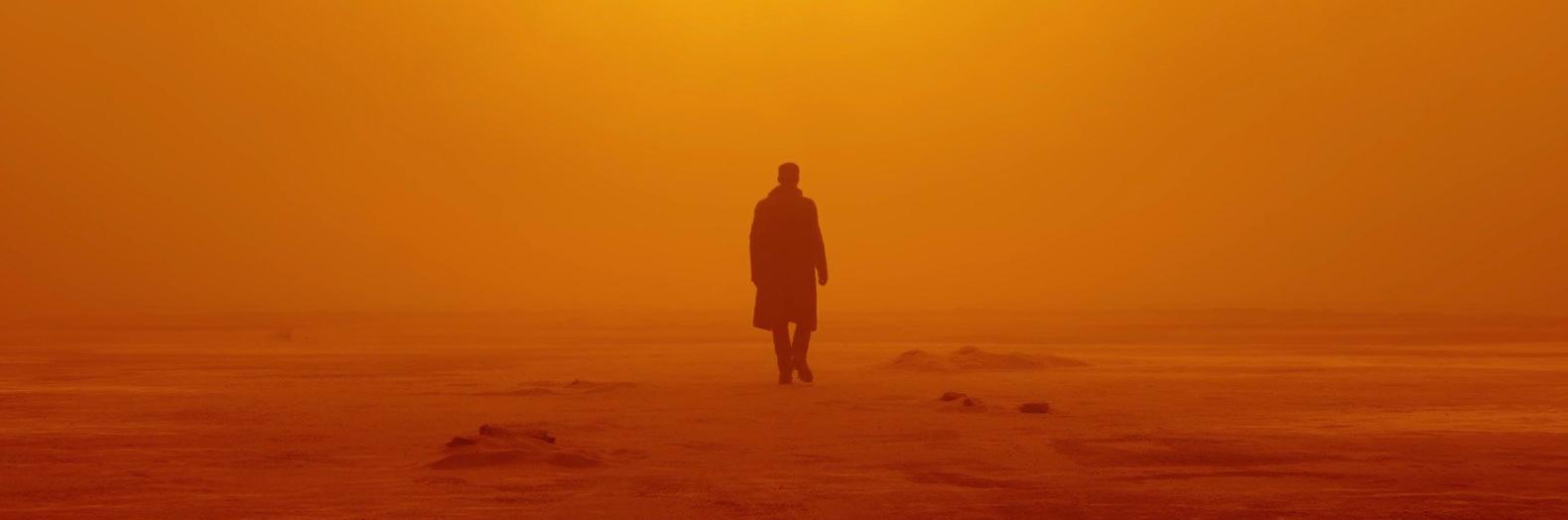 1580x524 roger deakins