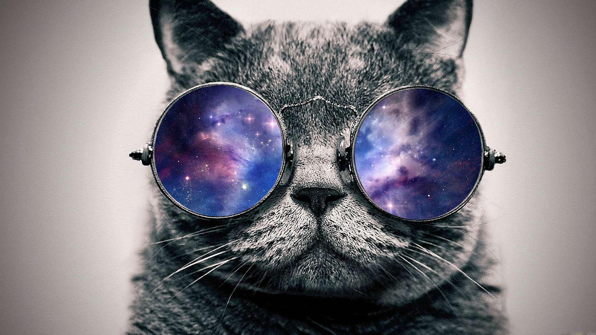 1920x1080 Cat Wallpaper Tumblr