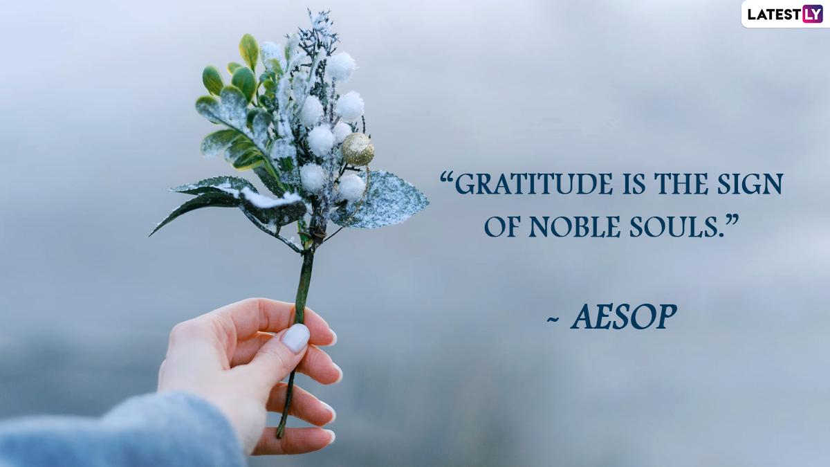 1200x675 Happy World Gratitude Day Image & HD Wallpaper for Free Download Online: Share Greetings and Messages To Thank and Be Grateful to Everyone