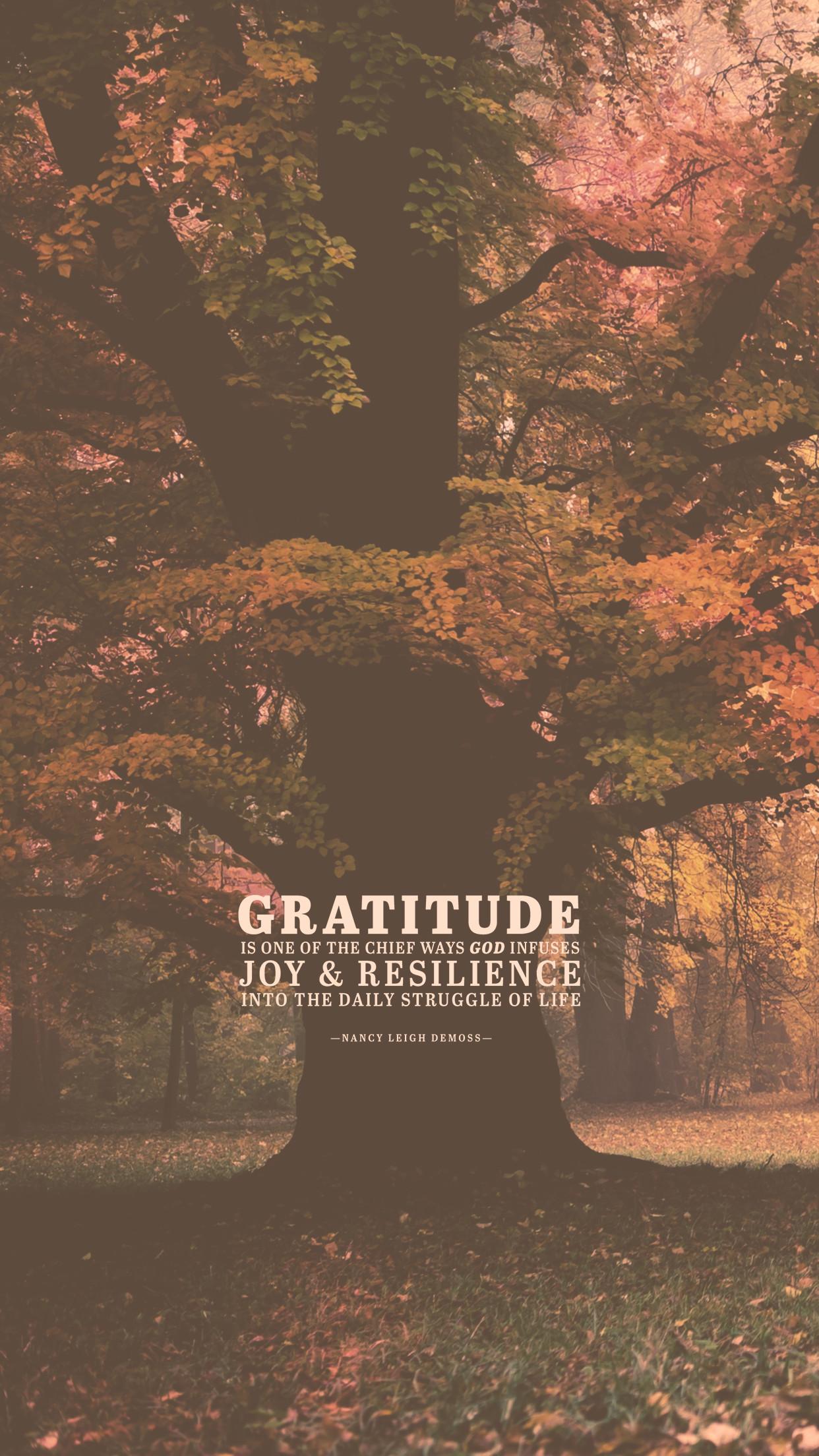 1242x2208 Gratitude Wallpaper
