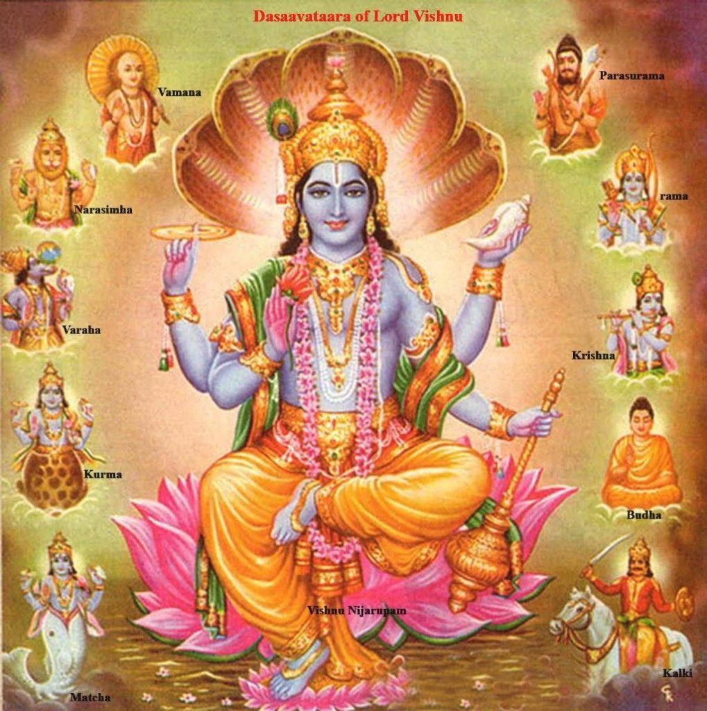 1019x1024 Download Lord Vishnu Ten Primary Avatars Wallpaper